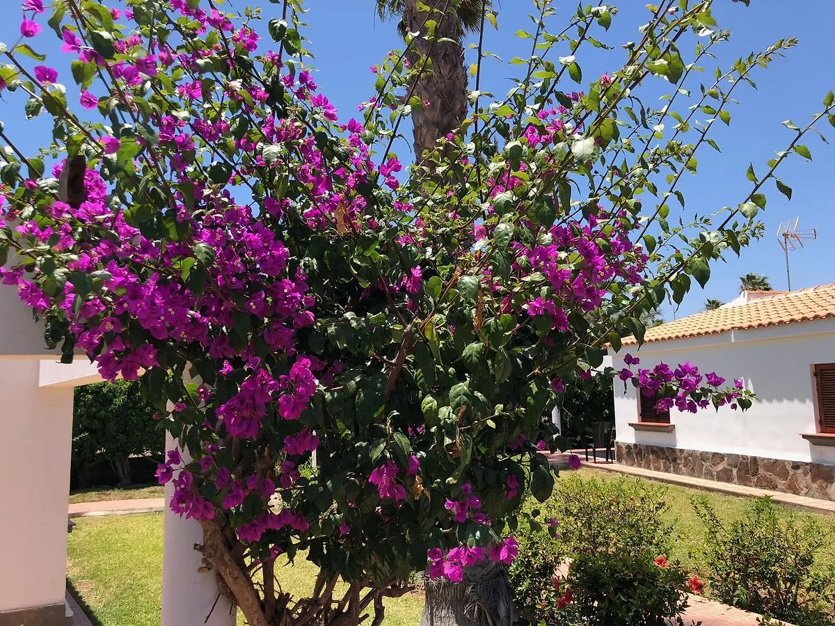 Bungalow Las Vegas Golf Hotel Maspalomas  Spanien